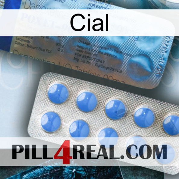Cial 40